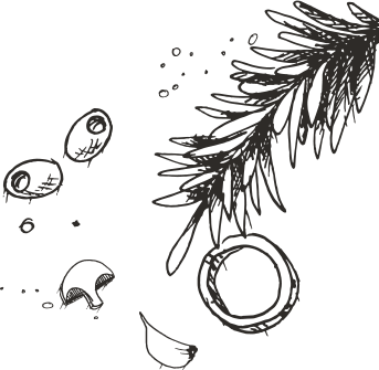 Decorative shape element
